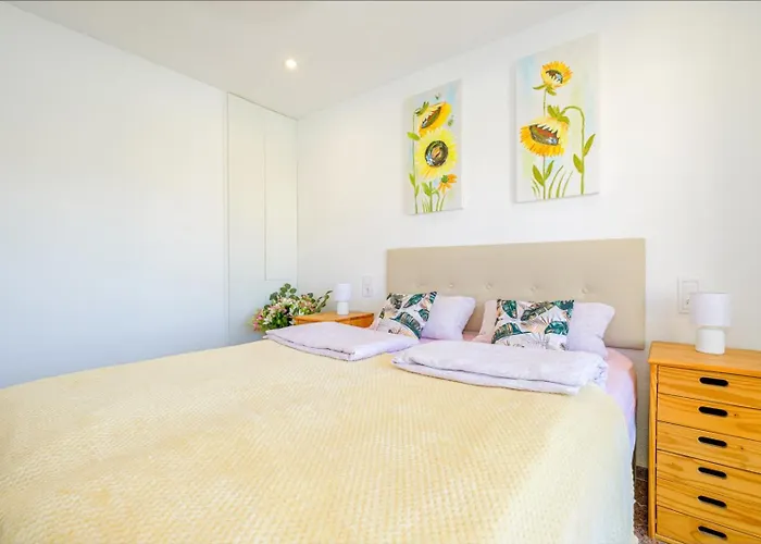 Zammit Id88 Torrevieja